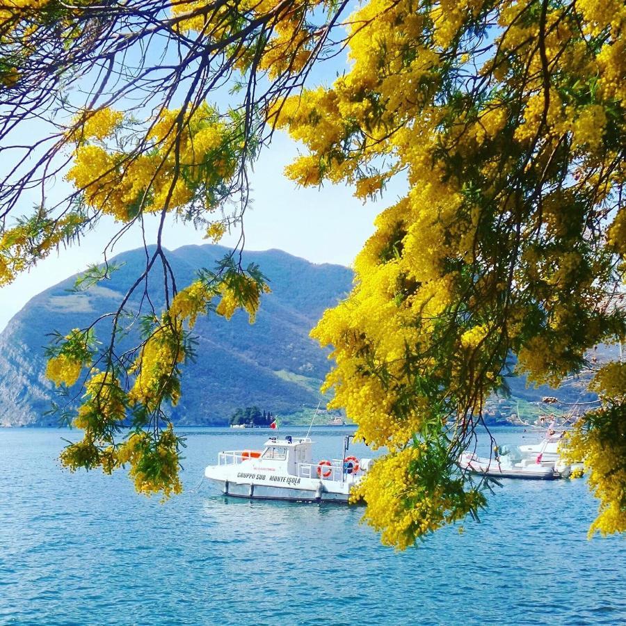 Irina'S House With View On Like And Swimming Pool Διαμέρισμα Riva di Solto Εξωτερικό φωτογραφία